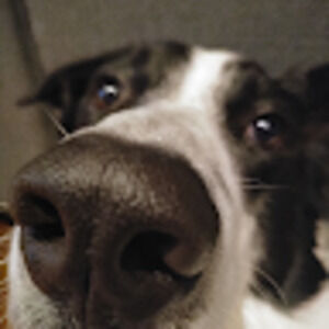 Meet your Posher, Marysa